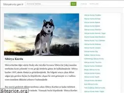Sites similar to sibiryakurdu.gen.tr