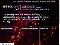 Sites similar to sicilianolab.com