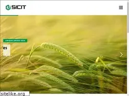 Sites similar to sicitgroup.com