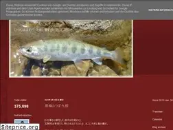 Sites similar to sidestarwinderjpn.blogspot.com