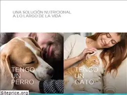 Sites similar to sieger.com.ar