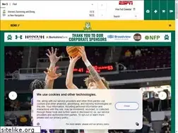 Sites similar to sienasaints.com