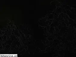 Sites similar to siennashields.com
