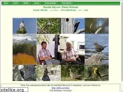Sites similar to sierrabirdbum.com
