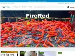 Sites similar to sieuthithuysinh.com