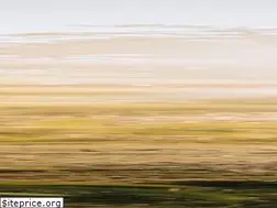 Sites similar to signa-sportsunited.com