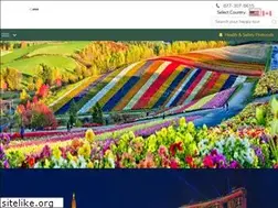 Sites similar to signettours.com
