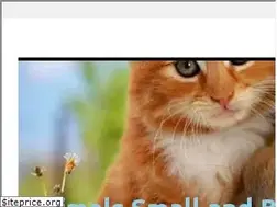 Sites similar to sikantispets.com