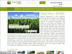 Sites similar to silajlikmisir.org