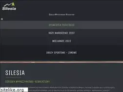 Sites similar to silesiaowr.pl