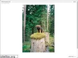 Sites similar to silfvercreations.com