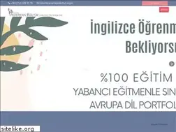 Sites similar to silivriamerikankultur.com