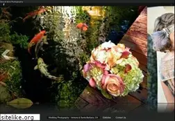 Sites similar to silvaandsilvaphotography.com
