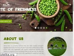 Sites similar to silvafrozen.com