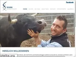 Sites similar to silvanzurbriggen.ch