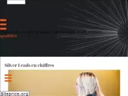 Sites similar to silver-leads.fr