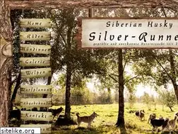Sites similar to silver-runners.de