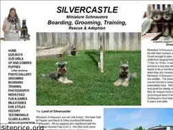 Sites similar to silvercastle.ca
