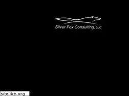Sites similar to silverfoxconsulting.com