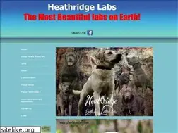 Sites similar to silverlabsnstuff.com