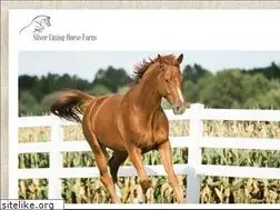 Sites similar to silverlininghorsefarm.com