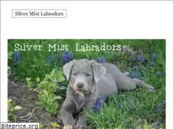 Sites similar to silvermistlabradors.com