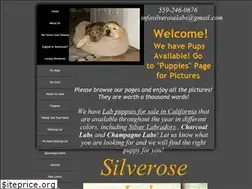 Sites similar to silveroselabs.com