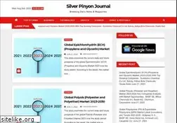 Sites similar to silverpinyon.com