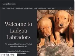 Sites similar to silverridgelabs.com