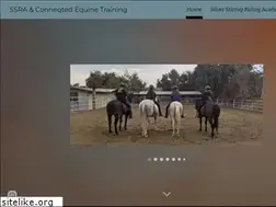 Sites similar to silverstirrupridingacademy.com
