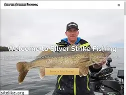 Sites similar to silverstrikeice.com