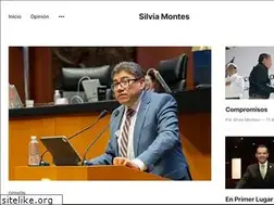 Sites similar to silviamontes.com.mx