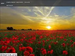 Sites similar to simplementmagique.com
