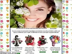 Sites similar to sincancicek.org