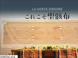 Sites similar to sindon-jp.com