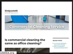 Sites similar to sindyestetik.com