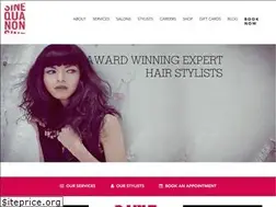 Sites similar to sinequanonsalons.com