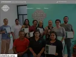 Sites similar to sinergiaibi.com