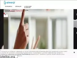 Sites similar to sinerjigida.com