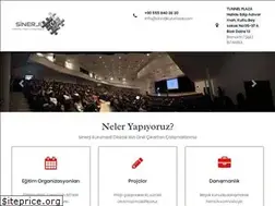 Sites similar to sinerjikurumsal.com