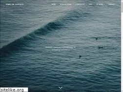 Sites similar to sinkorsurface.com