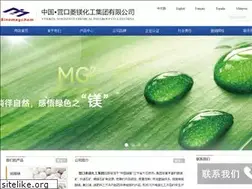 Sites similar to sinomagchem.com