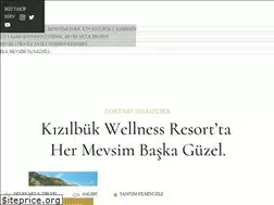 Sites similar to sinpaskizilbuk.com