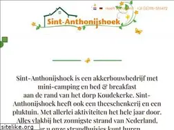 Sites similar to sint-anthonijshoek.nl