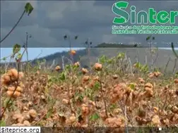 Sites similar to sinterpb.org.br
