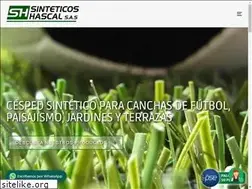 Sites similar to sinteticoshascal.com