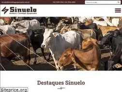 Sites similar to sinueloagropecuaria.com.br