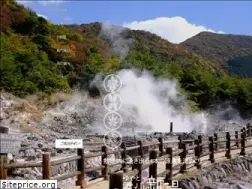 Sites similar to sinyuhotel.co.jp
