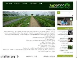 Sites similar to siozungroup.com