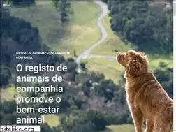 Sites similar to sira.com.pt